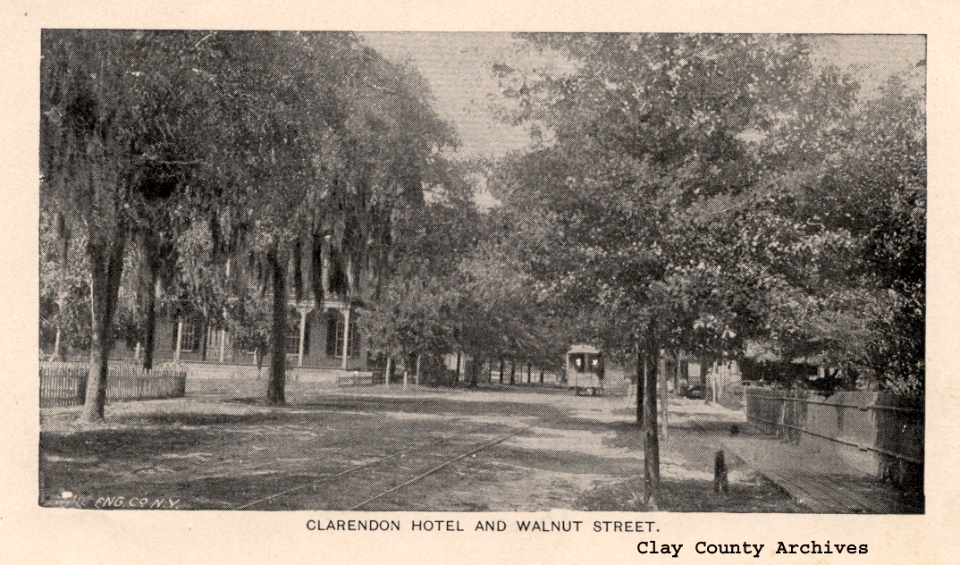 Hotel Clarendon - VIew Across Walnut
